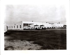 DeWitt's Zeeland Hatchery Shuttle Buses & Garage Michigan MI 1960s Photo 8x10