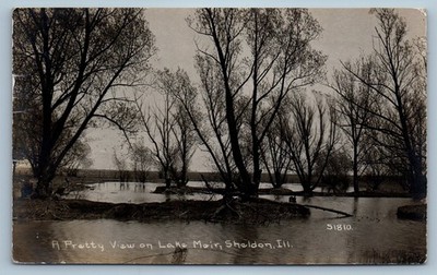 1919 A Pretty View On Lake Meir Sheldon Illinois IL Childs RPPC Photo Postcard