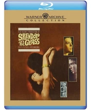 Splendor In the Grass Blu-ray Classic Film Drama Romance Collector's Edition