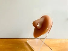 Dragon Nose Ring Clip On Non Piercing Jewelry Fashion Beautiful 