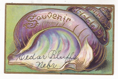 1909 CEDAR BLUFFS NEBRASKA SOUVENIR SEASHELL VINTAGE POSTCARD NE BRUNING LOWENB