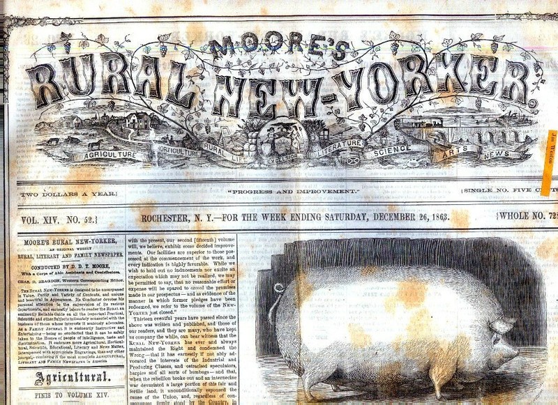 Newspaper-Bombardment of Charleston SC  Famine & Fear Reign -PIGS Civil War-1863