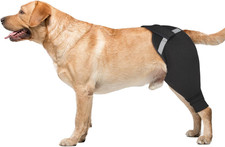Dog Rear Leg Surgery Recovery Wound Cover Size XL Hind Left Brace