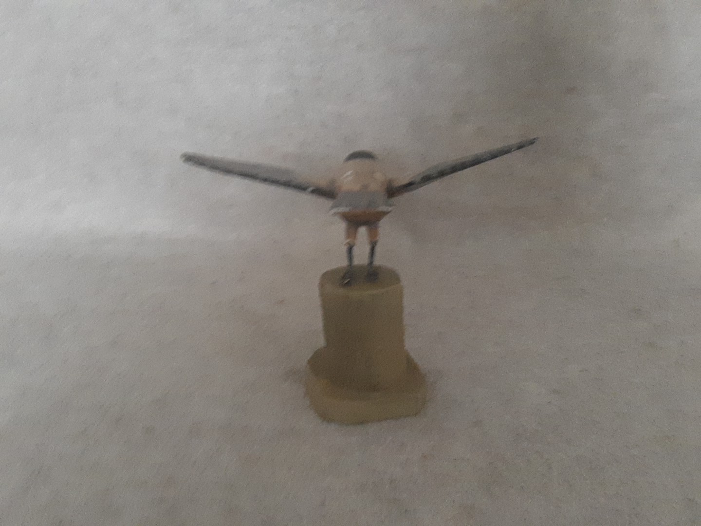 Picture 10 of 18