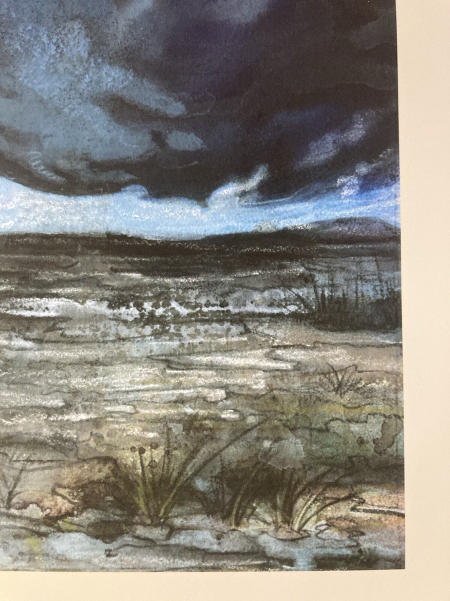 MTG✨Artist Signed PLAINS-Ant Hill ART PRINT & CARD✨Tempest Land