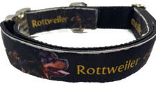 Rottweiler Collare per Cani Larghezza 1,5 Pollici Regolabile