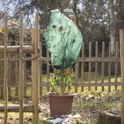 Windhager Rosenvlies-Haube 0,75 x 1 m, grün, 3 Stück  Schutzvlies