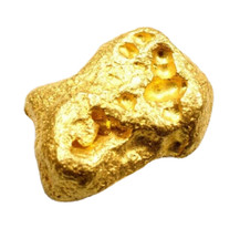 .550+ GRAMS ALASKAN YUKON BC NATURAL PURE GOLD NUGGET HAND PICKED (G550+)