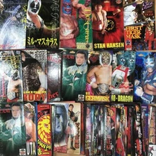 Professional Wrestling Figure Mount 81 Piece Set Bulk Sell Chara Pro WWE