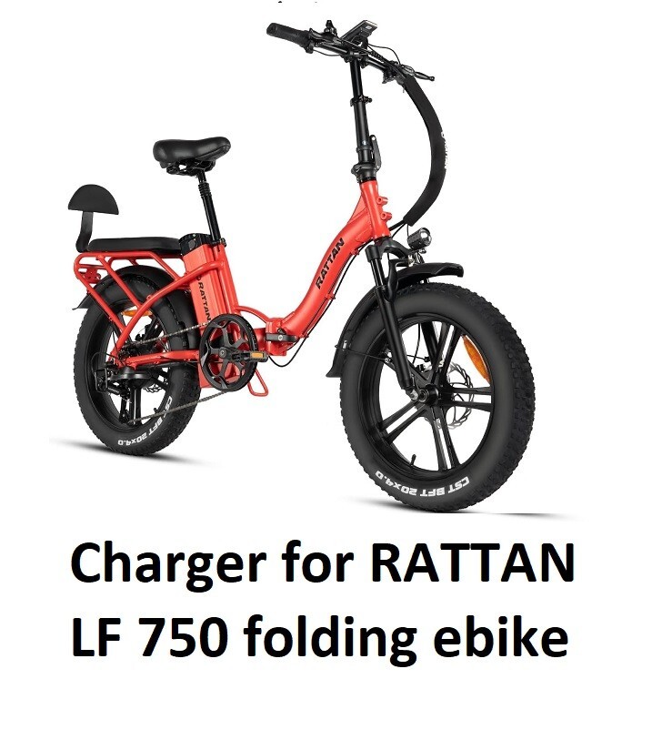 🔥3A fast Battery Charger for Rattan LM/LF750 Pro ebike Electric
