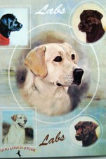 Labrador Gift Wrapping Paper