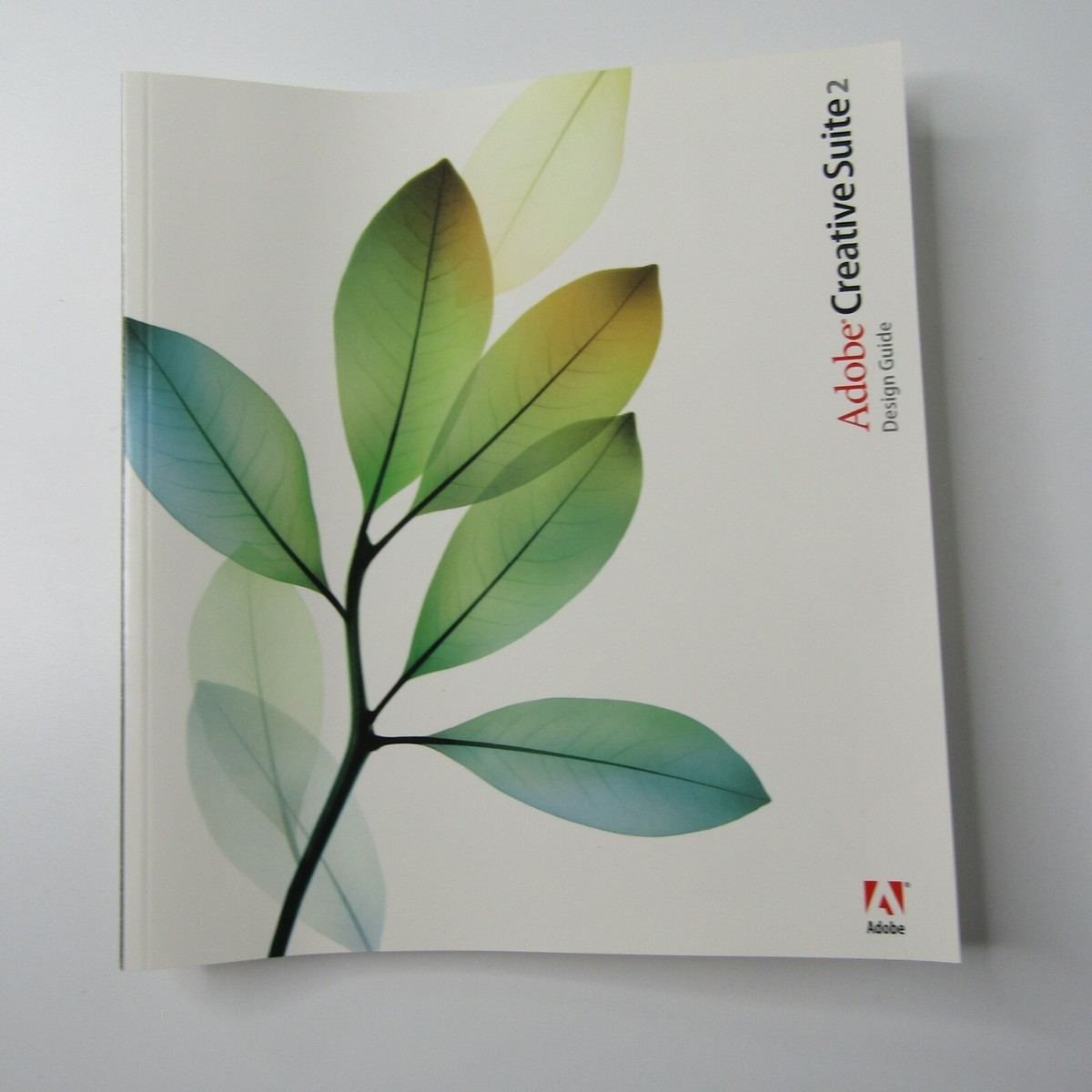 Adobe Creative Suite 2 Premium 18040490 Dreamweaver 8 MAC Adobe Creative Suite 2 Premium 18040490 Dreamweaver 8 MAC