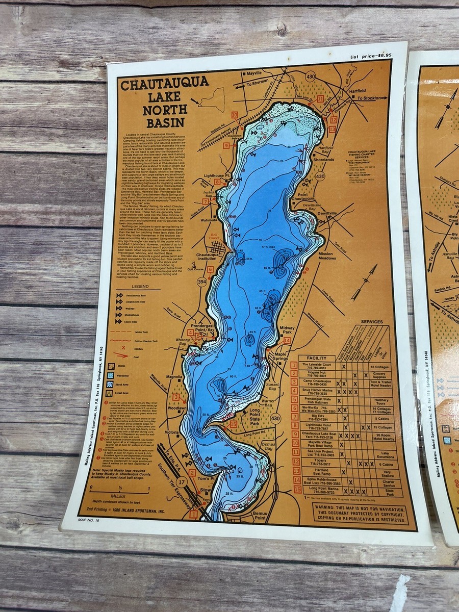 Carte Ancienne Reproduction Comté De Chautauqua NY 1829 Encadrée