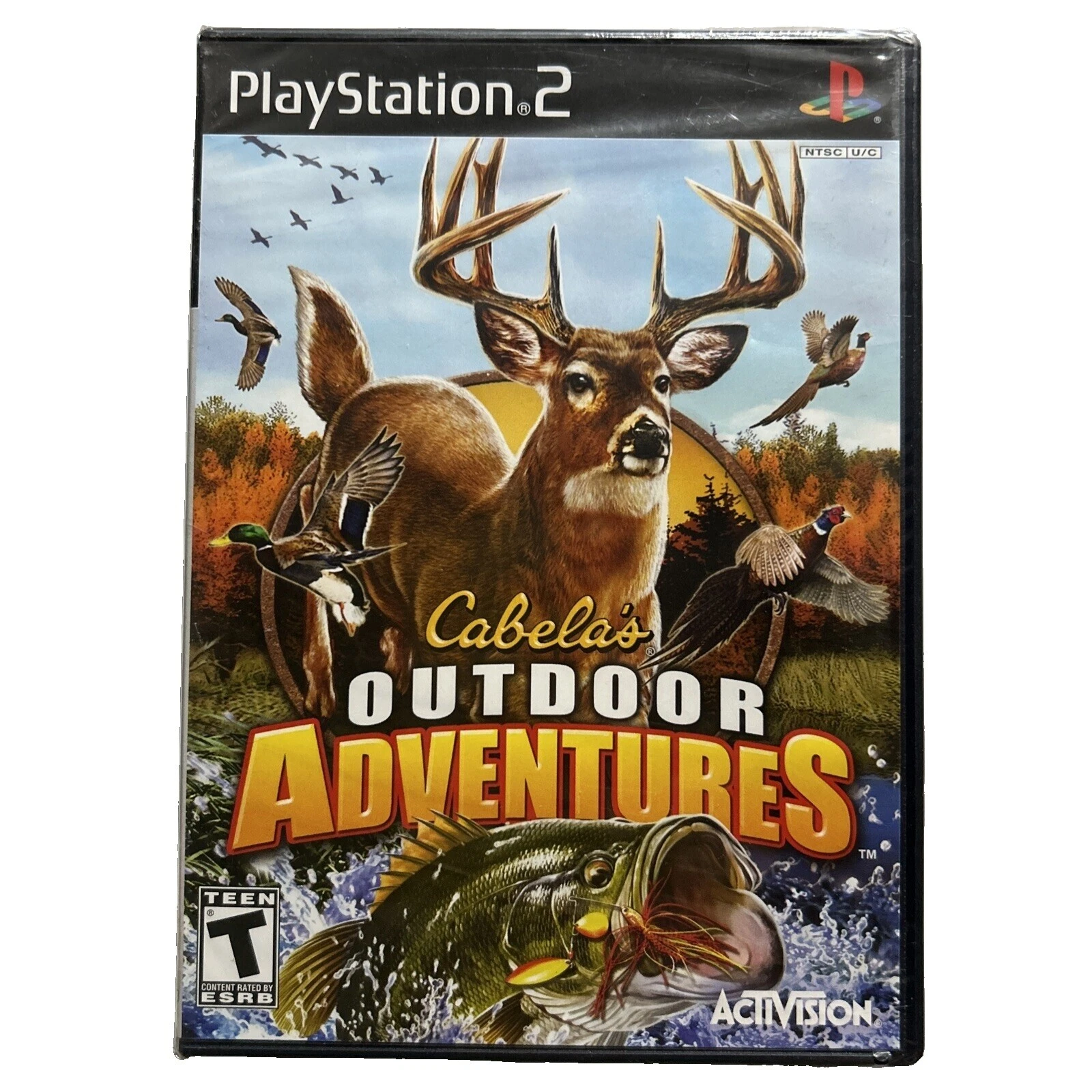 Sports Sony PlayStation 2 Activision Video Games