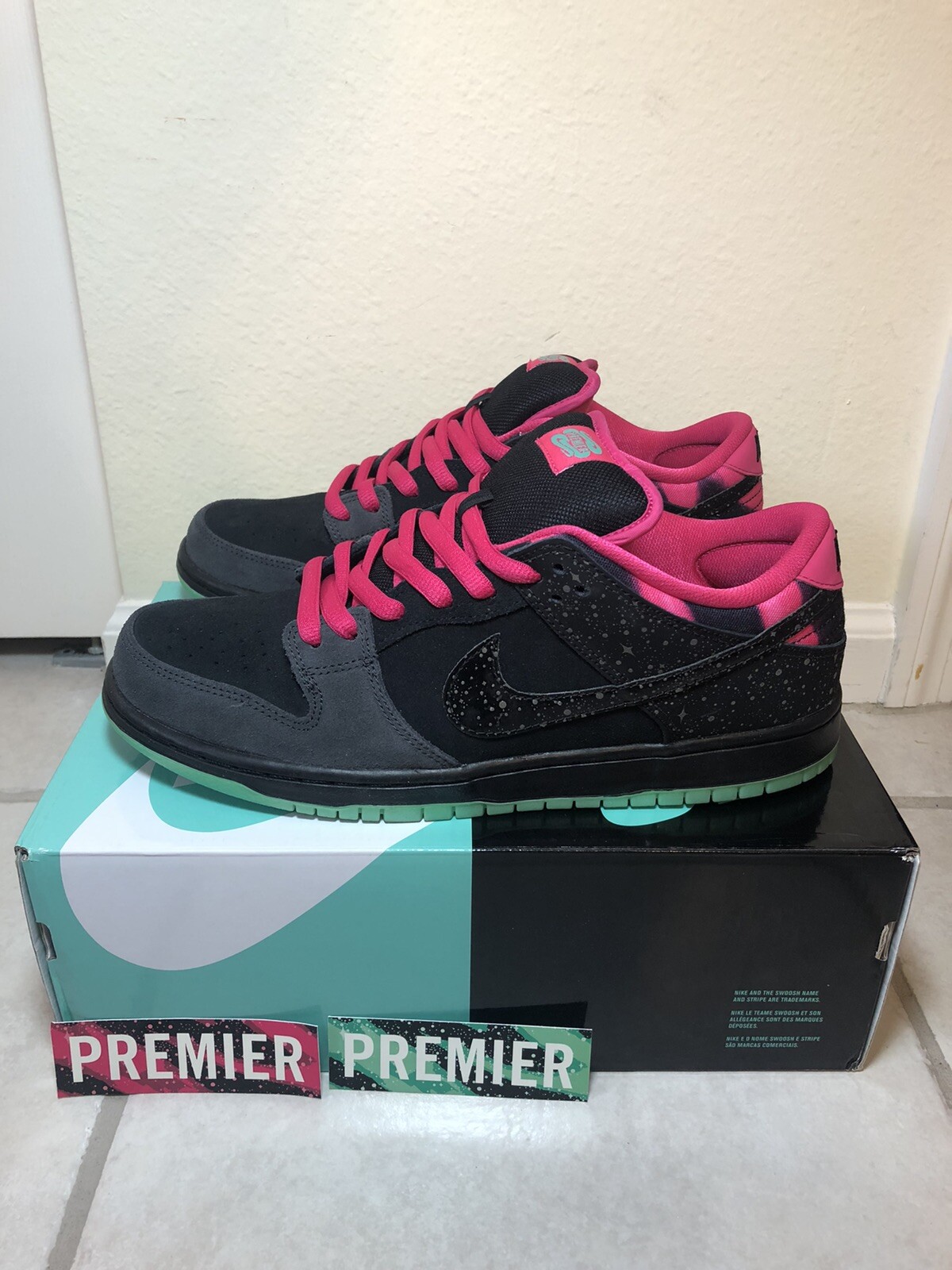 nike sb northern lights low