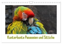 Calendar 2027 · US Version · Colorful Parrots And Parakeets (Wall Calendar 2027