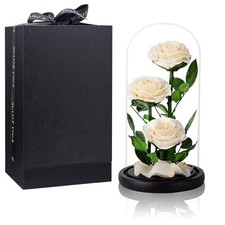 White Roses Handmade Preserved Rose in Glass Dome, Preserved Flowers Never Wi...