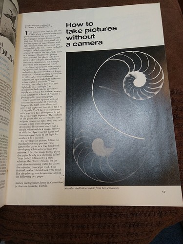 Vintage National Wildlife Magazine Aug/Sept 1979 Illustrated Give me a Home - Picture 7 of 12