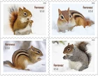 #6124 - 6127 2026  Squirrels & Chipmunks Booklet Block/4 - MNH (After Sept 25)