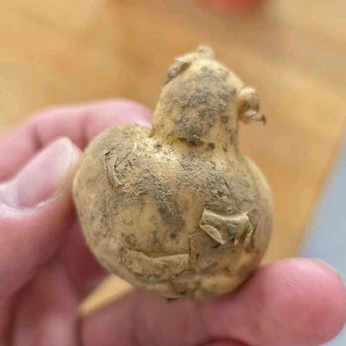 potato duck Figurine, Brown Animal Decorative Collectible Sculpture, edible
