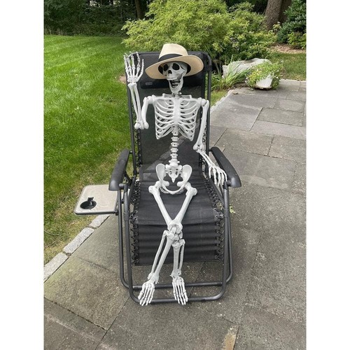 60 in. Halloween Life Size Hanging Skeleton - Picture 3 of 4