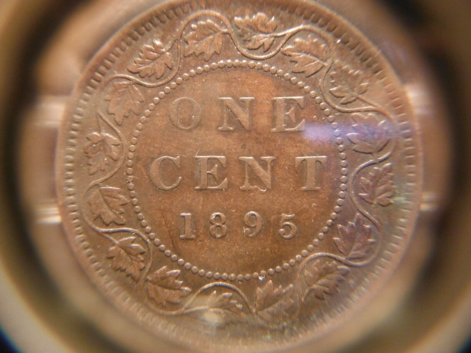 1895 Large One Cent ***** Die Clash ***** VF