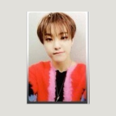 SEVENTEEN An Ode HOSHI OFFICIAL PHOTO CARD Real Hope Truth
