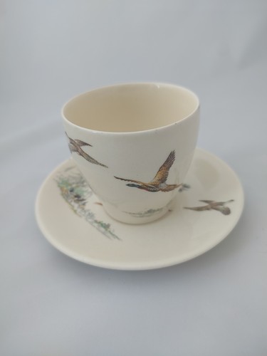 Royal Doulton The Coppice Teetasse und Untertasse