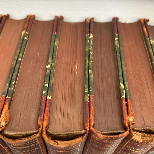 Complete Set Djurens Varld 14 Volume Quarto Animal World Books Swedish RARE Vtg - Imagen 12 de 18