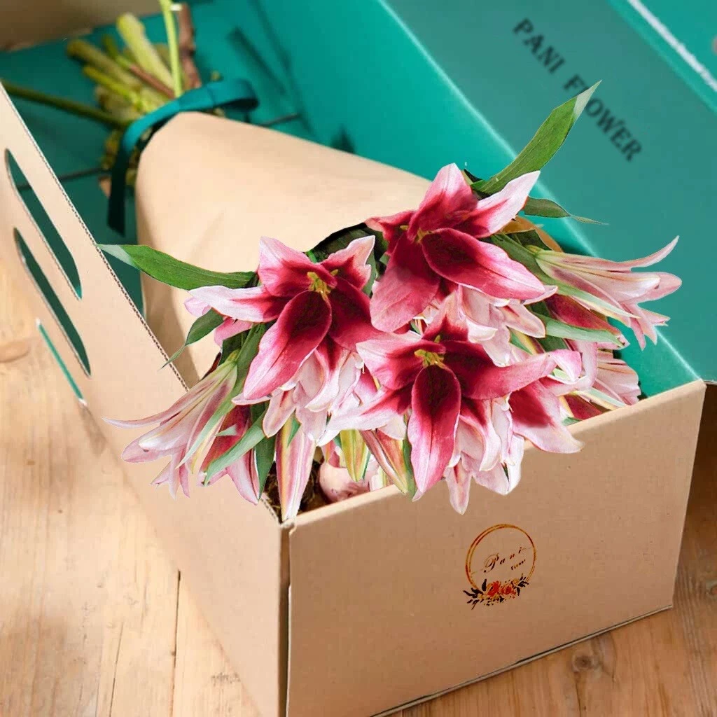 Top more than 146 next gift delivery latest kenmei.edu.vn