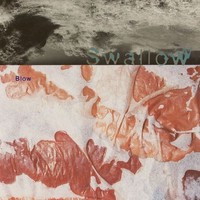 Audio Cd - Swallow - Blown (2 Cd) - 4Ad -D- Neu