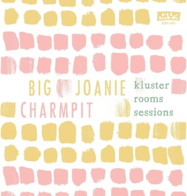 The Kluster Rooms Sessions CLEAR VINYL [7 VINYL]