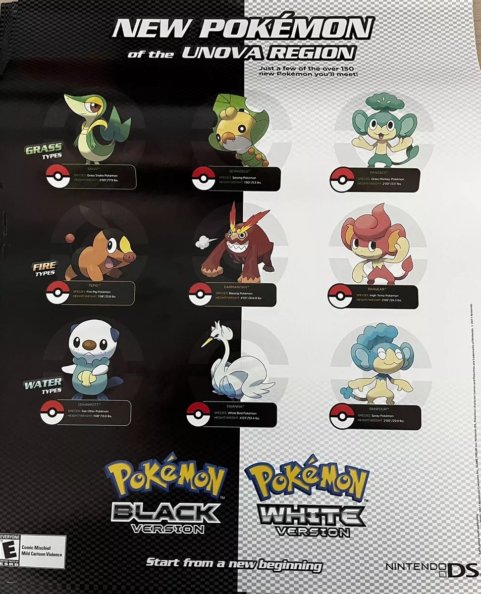 Pokemon the Movie: Black/Pokemon the Movie: White [2 Discs] - Best Buy