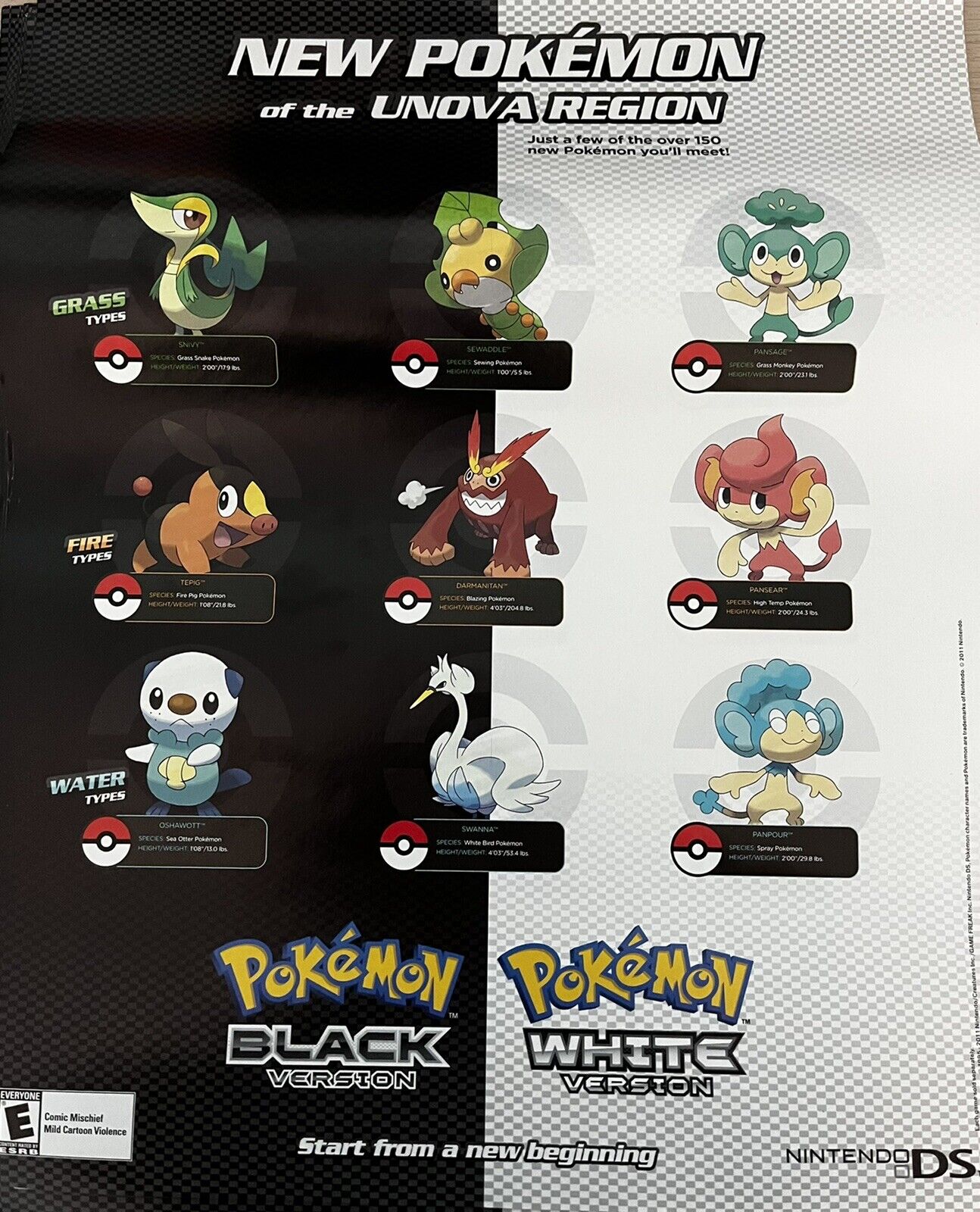 Pokemon Black & White New of The Unova Region (2011) Nintendo DS Poster