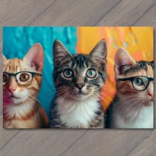 Art Print Cat with Glasses Fun Cute Colorful Kitty Unusual Animal Funny Sweet