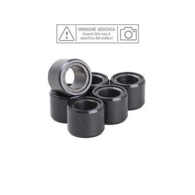 RODILLOS DE VARIADOR BANDO 25X15 16G SET 8