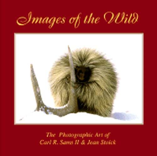 Images of the Wild by II Sams, Carl R: New | eBay