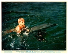 Flipper Original Lobby Card 1963 Luke Halpin swims with dolphin