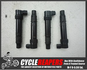 MISC-2003-2004-03-04-Kawasaki-Ninja-ZX636-ZX6R-Ignition-Pickup-Coils