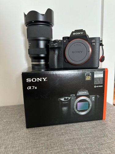 Sony a7iii - Photo 2/24