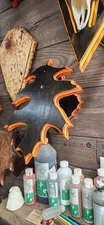 European Deer Skull Mount Plaque Midnight Orange Oak Leaf
