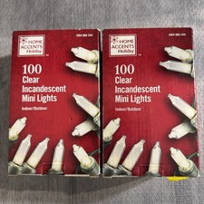 2 Home Accents 100 Count Clear Mini 20 FT String Lights Indoor Outdoor Green