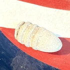 Dug Civil War 💥 🇺🇸 💣 Confederate Ringtail Sharps Bullet