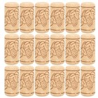  30 Pcs Flaschenstöpsel Flaschenstopfen Korkstopfen Flaschenkorken