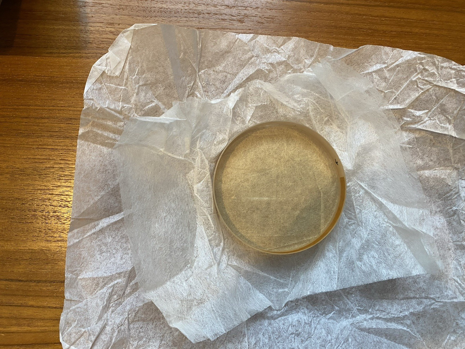 EDMUND  SCIENTIFIC OPTICAL FLAT -  3" ZERODUR,   1/10 WAVE