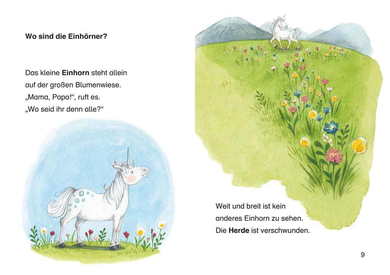 Thumbnail - Leselöwen 1. Klasse - Ein Stern Für Das Kleine Einhorn | Annette Moser