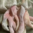 Foto 5 di 8
