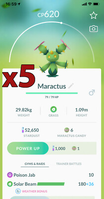 5x Maractus Pokemon Bundle !! Good Chance of Lucky and Good IVs !! Go
