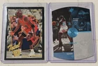Michael Jordan Total D & SPx Sky Insert Card Lot - Range from Good-EX Condition