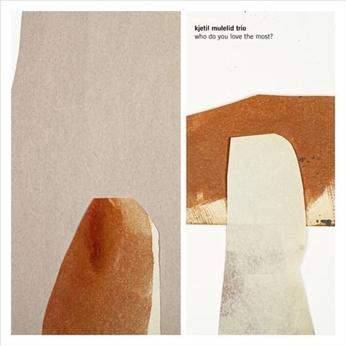 WHO DO YOU LOVE THE MOST? NEW VINYL RECORD - Imagen 1 de 1